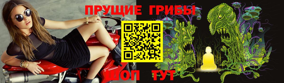 Барабинск  Псилоцибиновые грибы MAGIC MUSHROOMS  Вход с VPN 